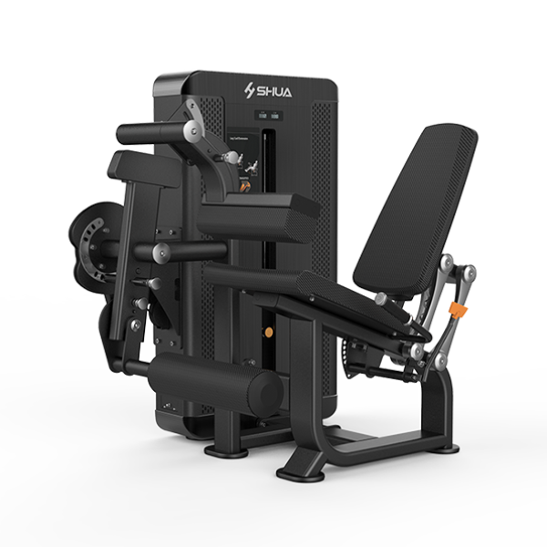 Flexão Extensão de Pernas