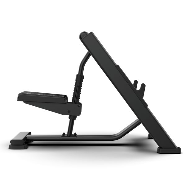 bext-banco-biceps-lateral