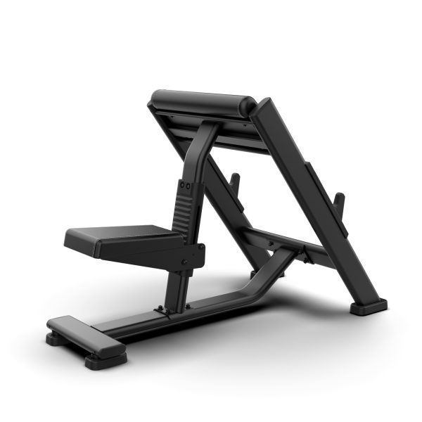 bext-banco-biceps-perspec3